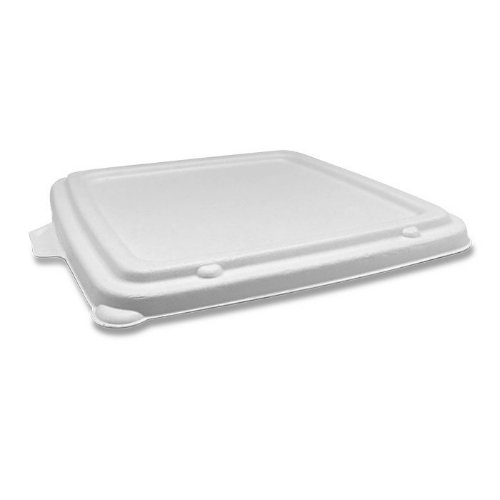 Sugarcane Lid Square Takeaway Tray 9" 200pc/ctn